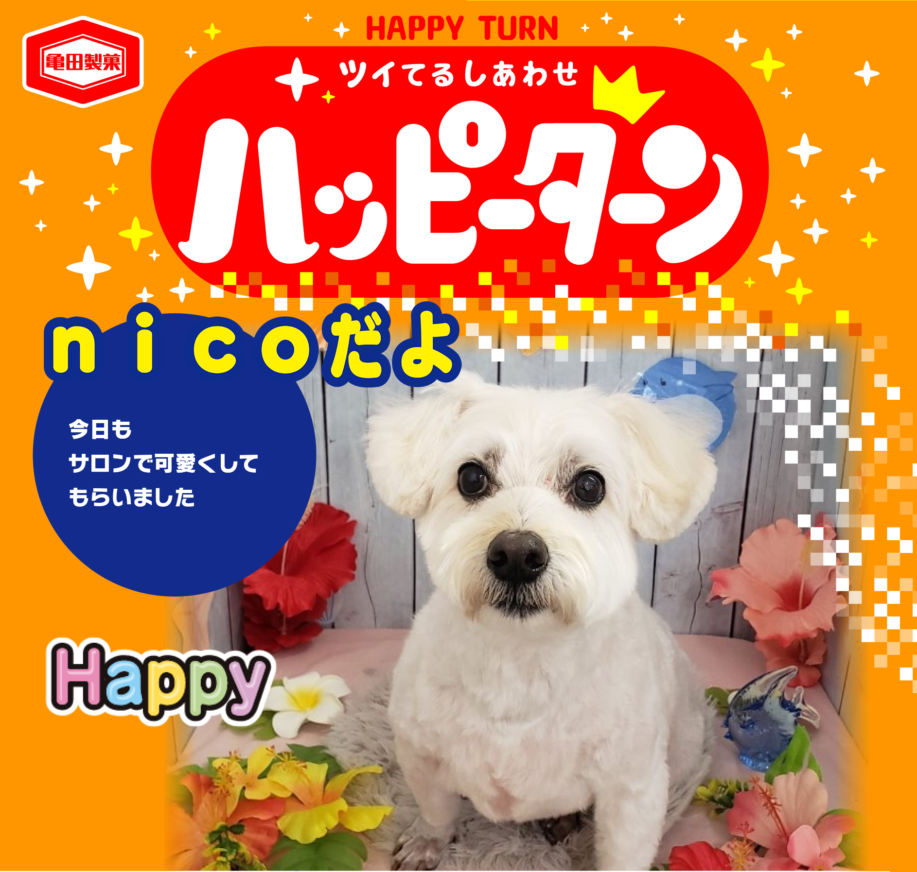 nicoだよ