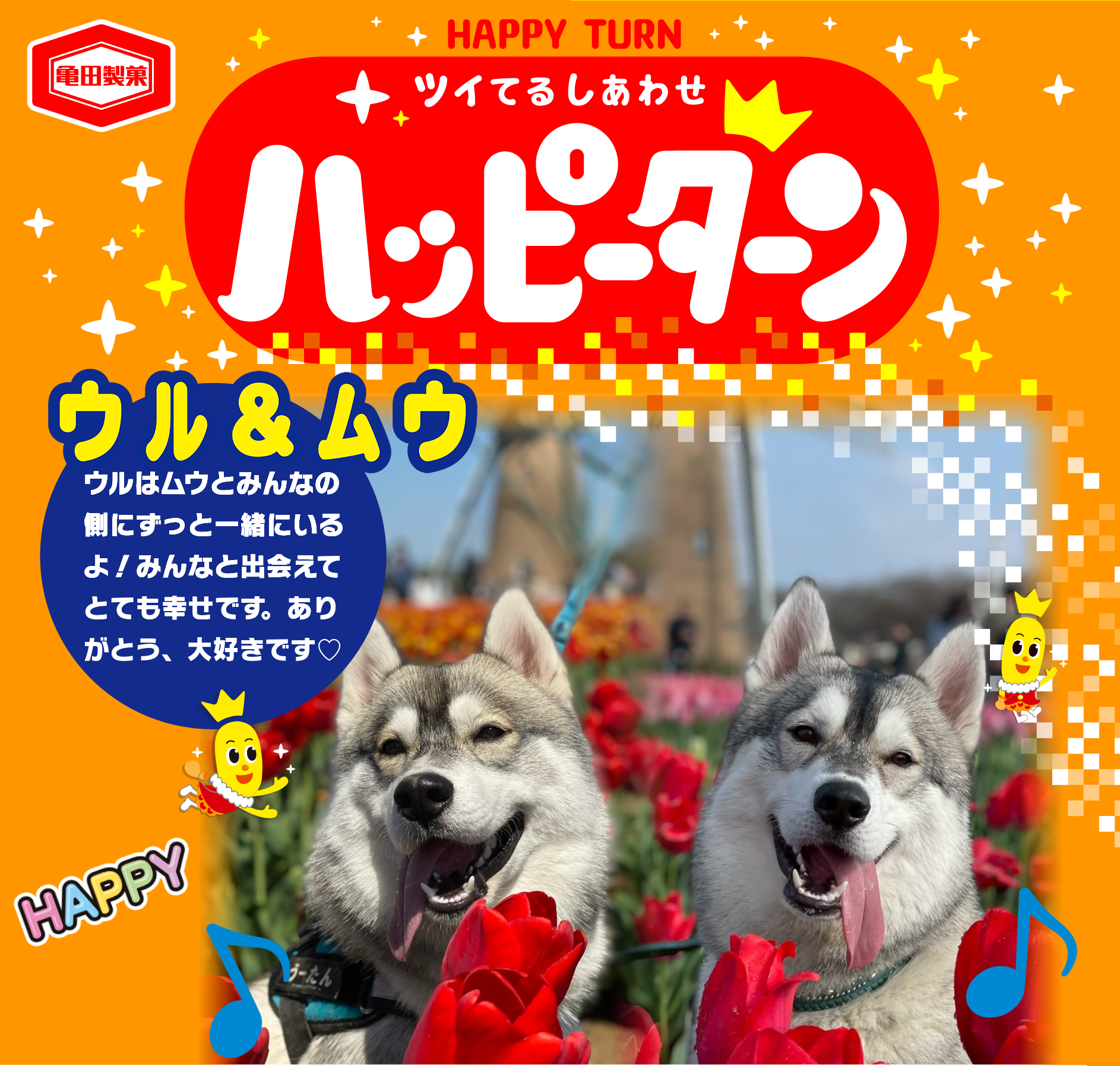 ウル＆ムウ
