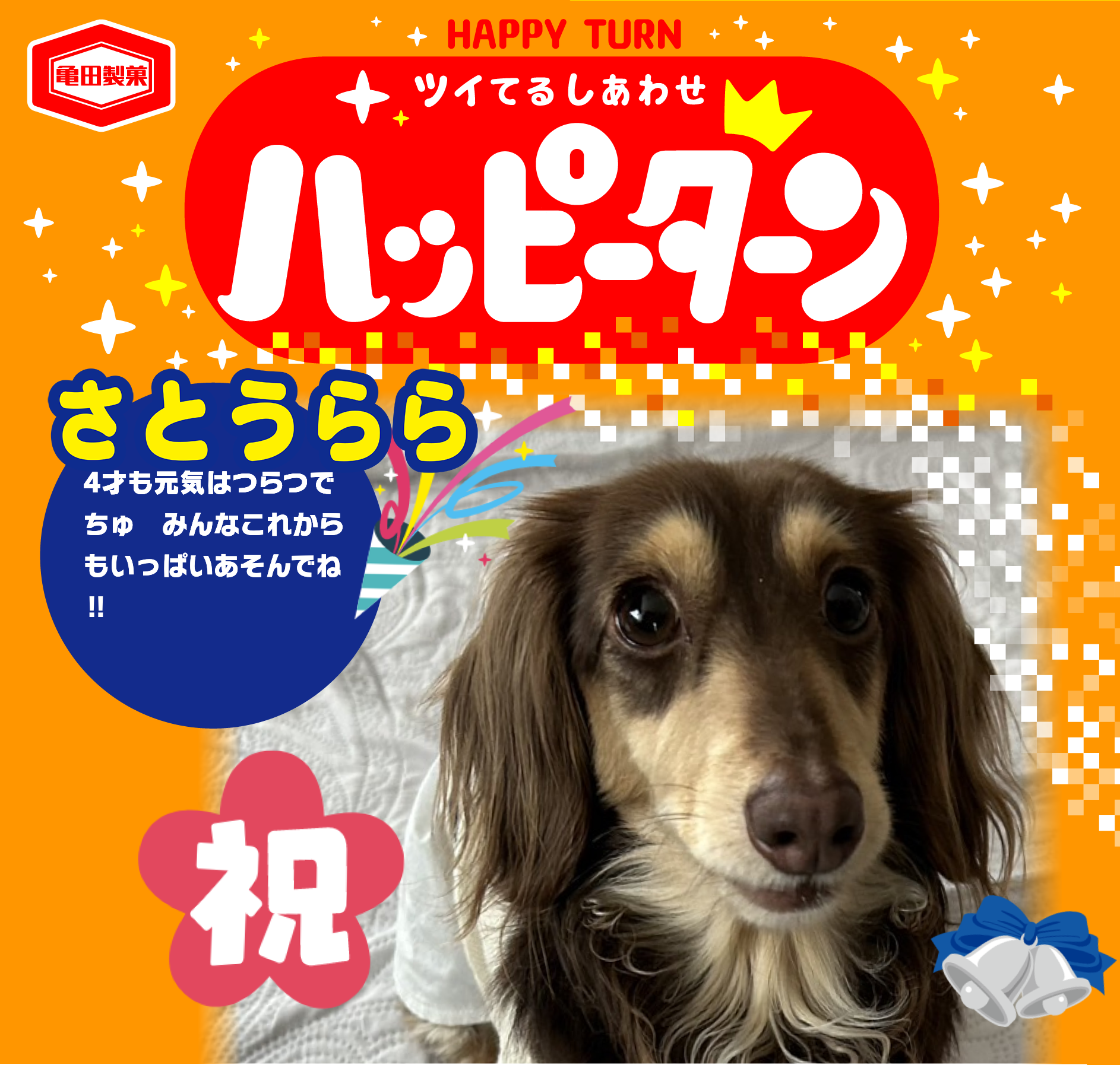 さとうらら
