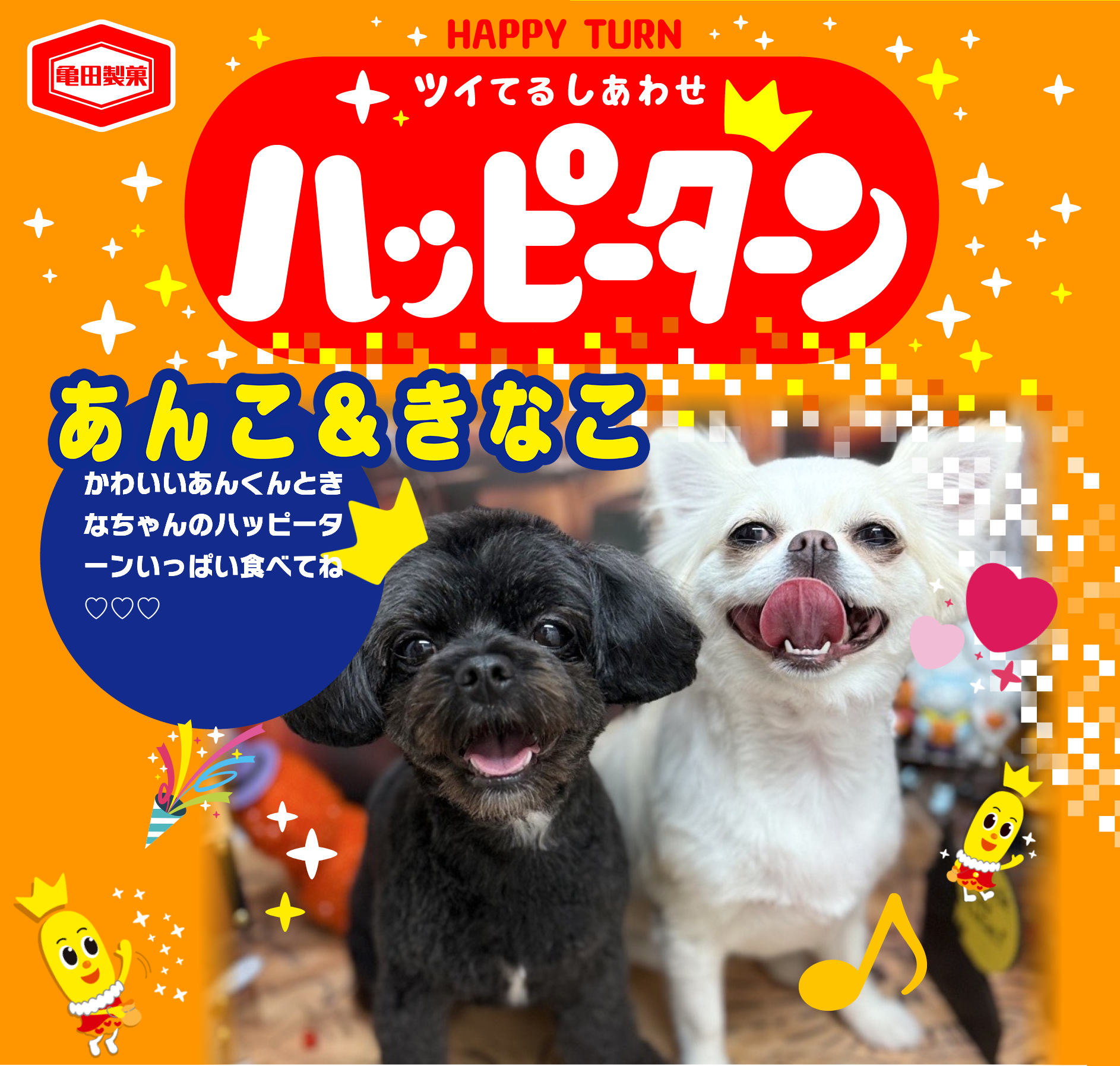 あんこ＆きなこ