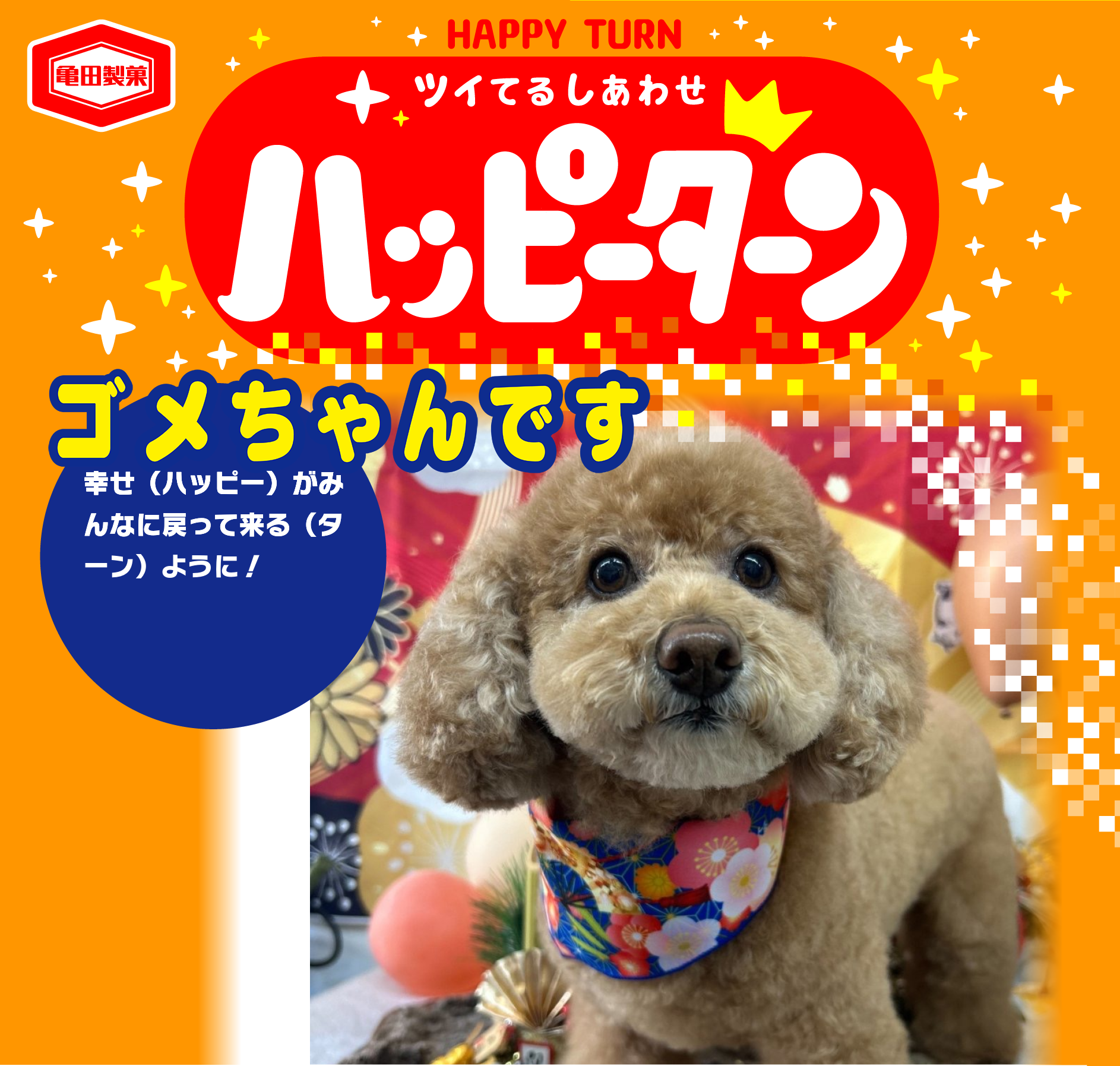 ゴメちゃんです