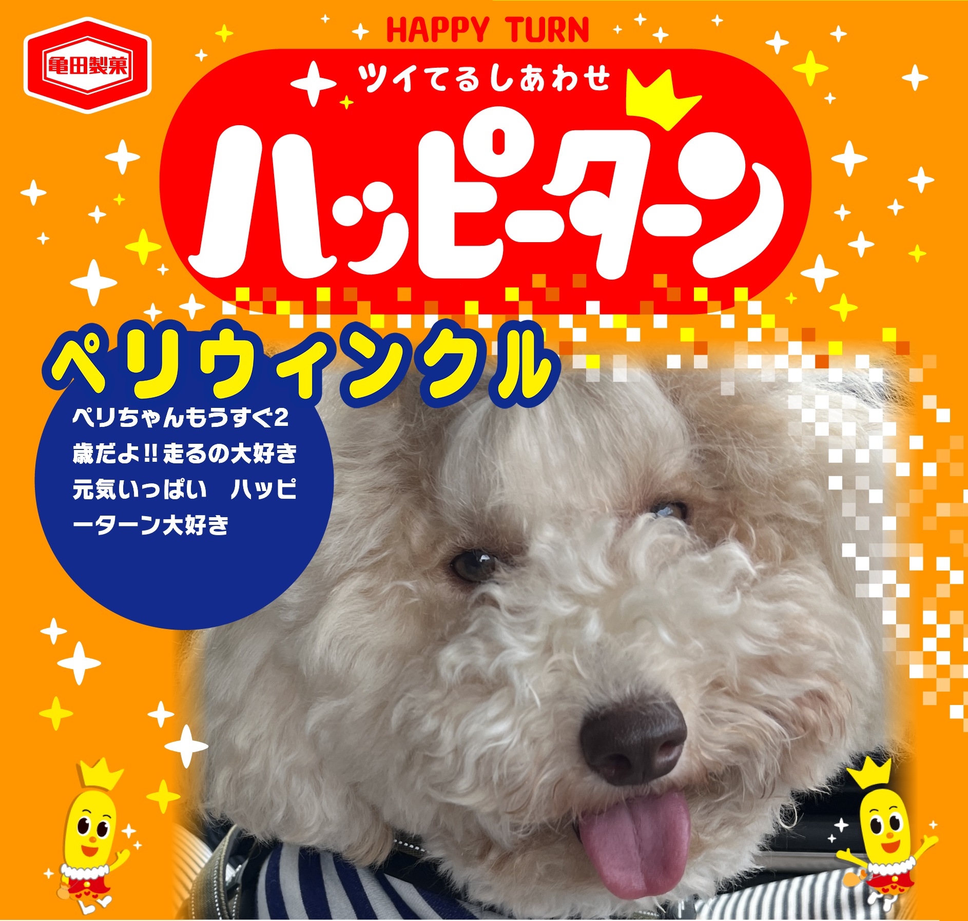 ペリウィンクル