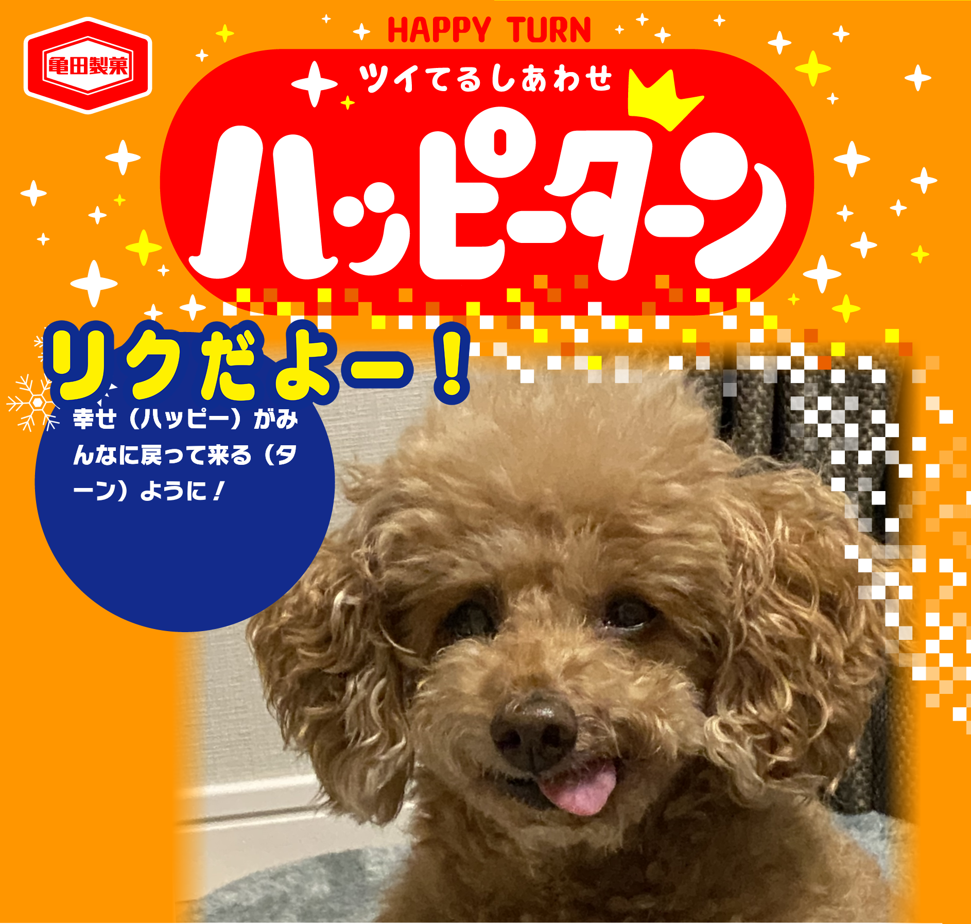 リクだよー！