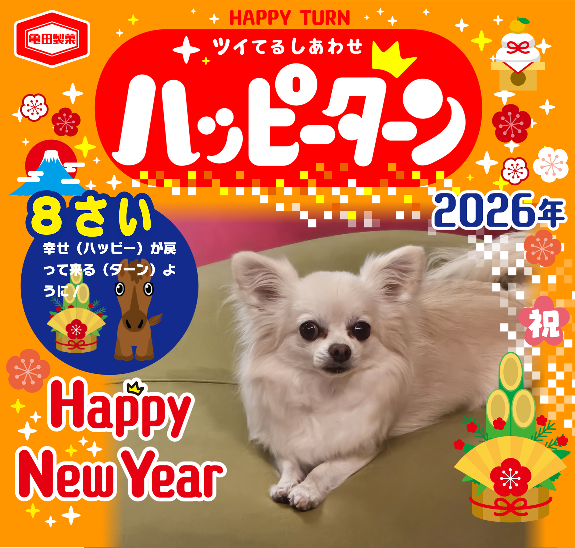 8さい