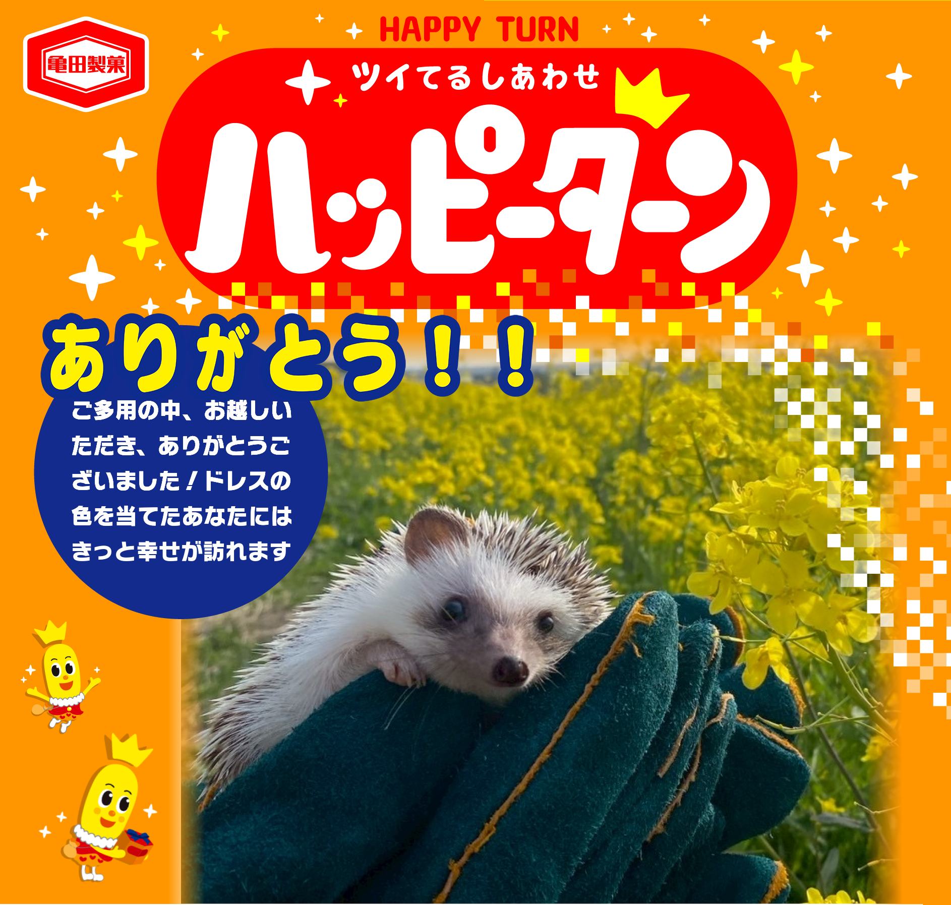 ありがとう！！