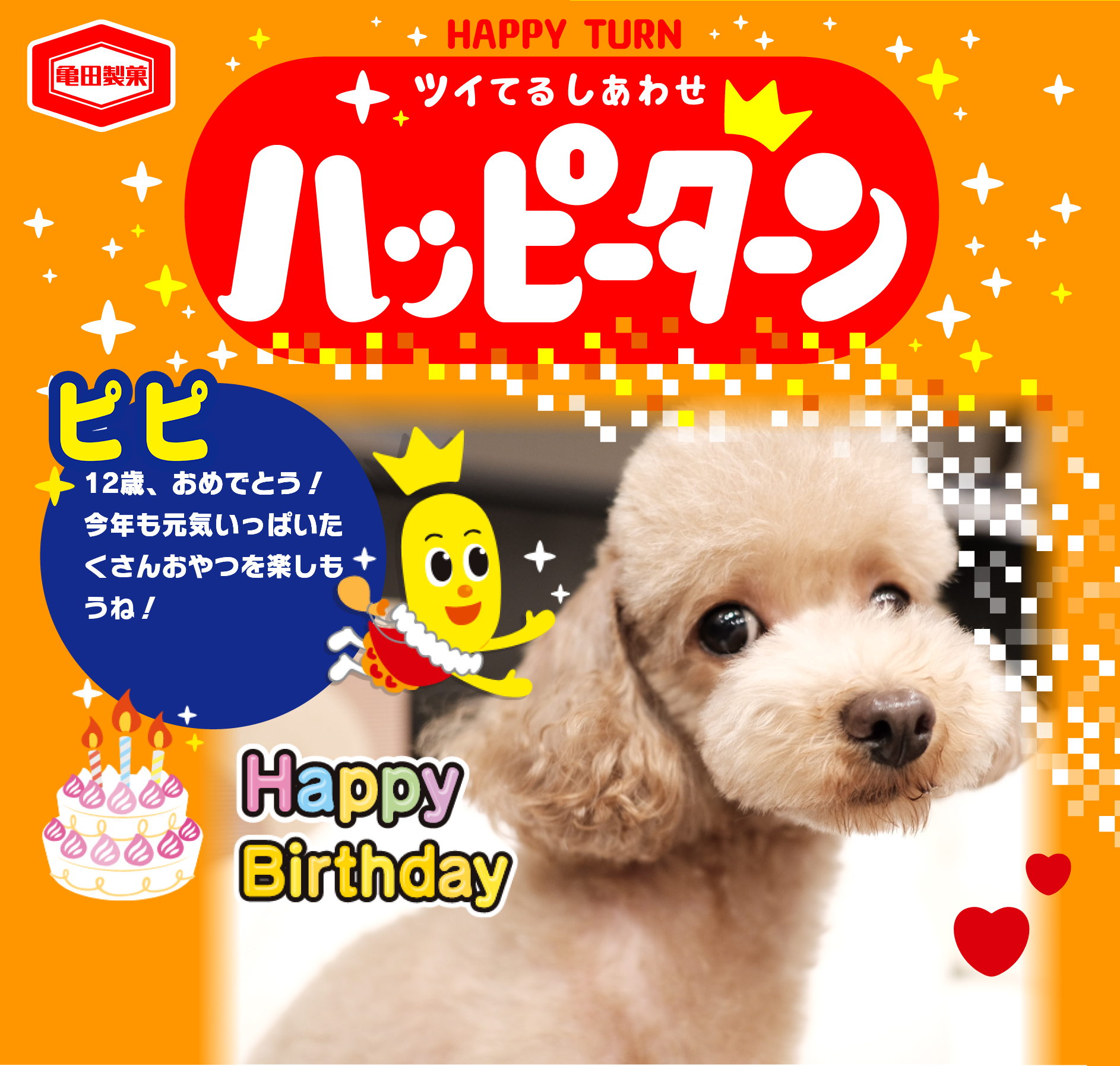 ピピ