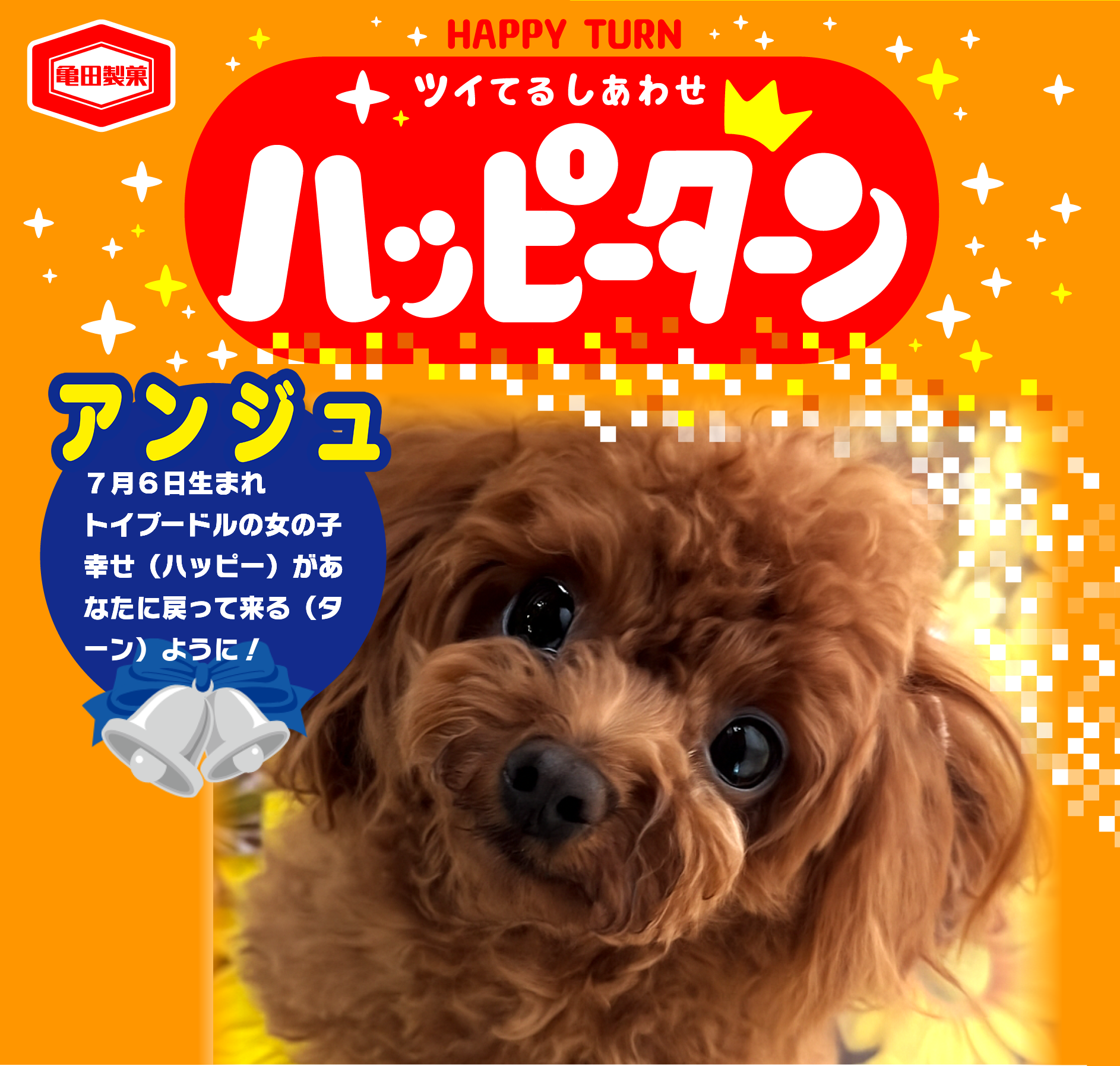 アンジュ