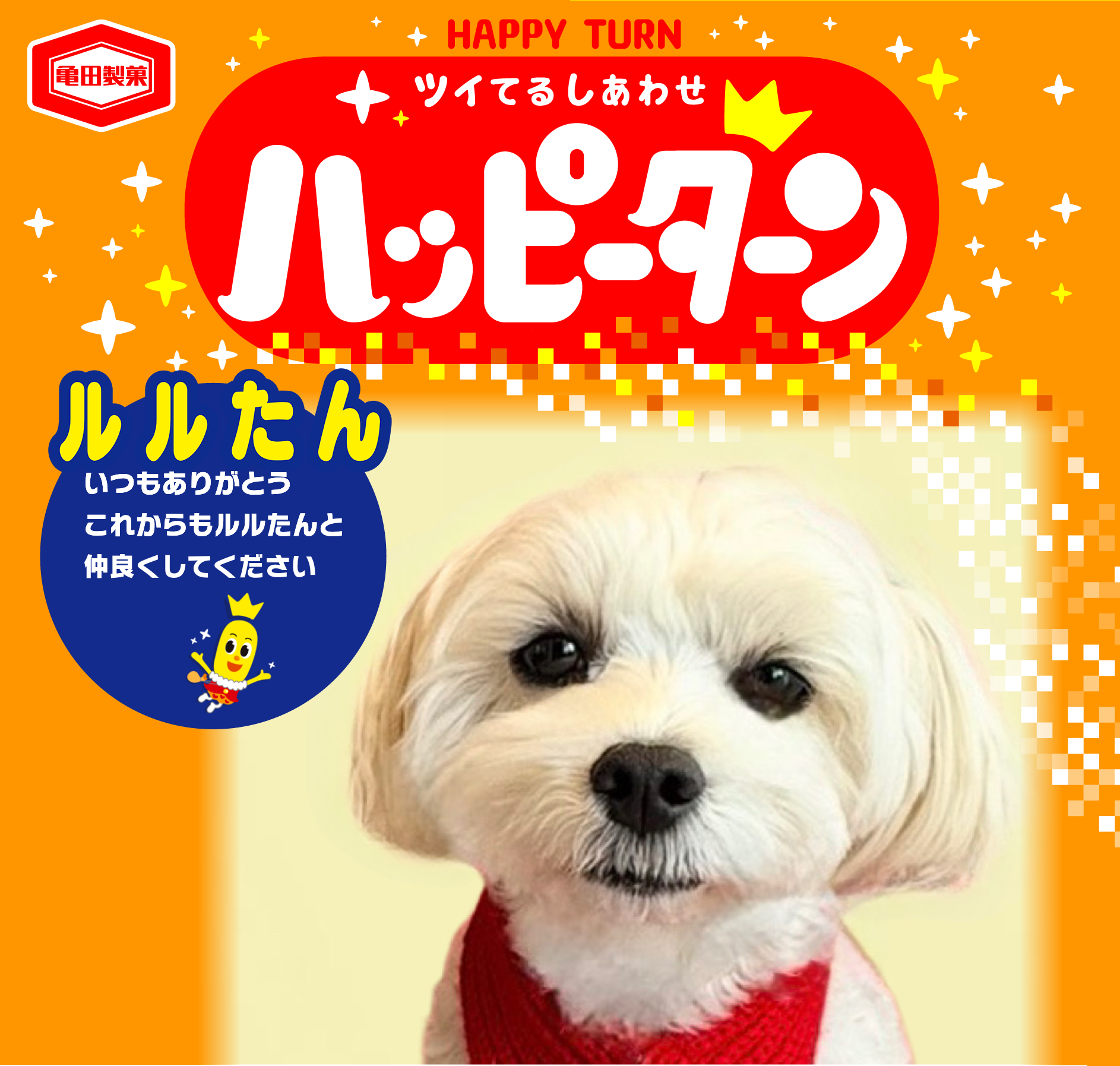 ルルたん