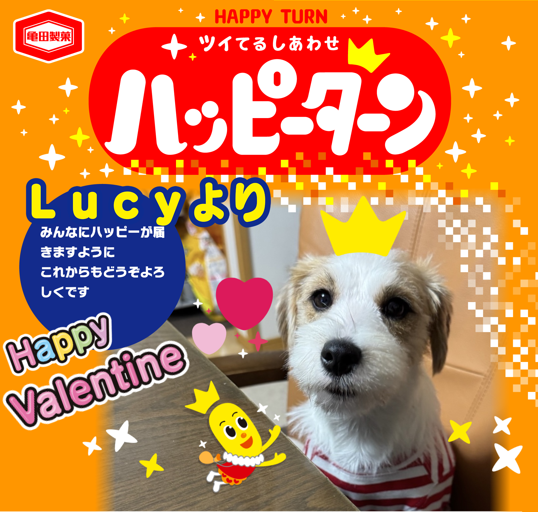Lucyより
