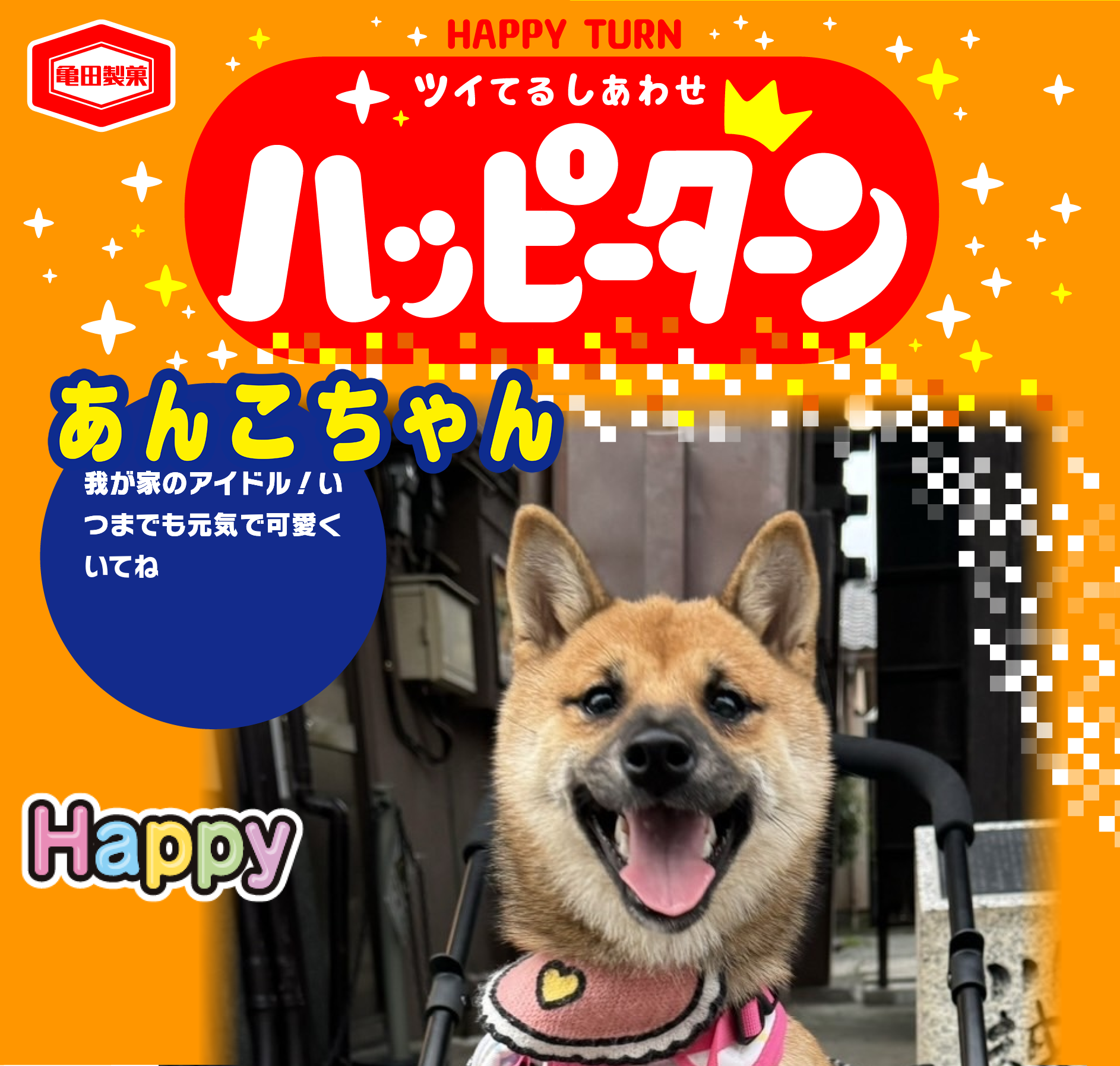 あんこちゃん