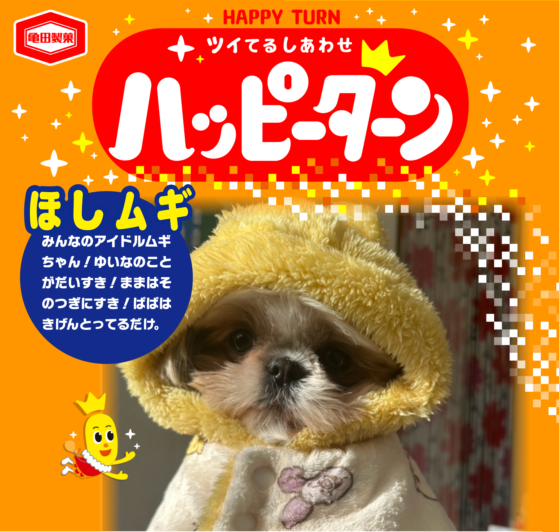 ほしムギ