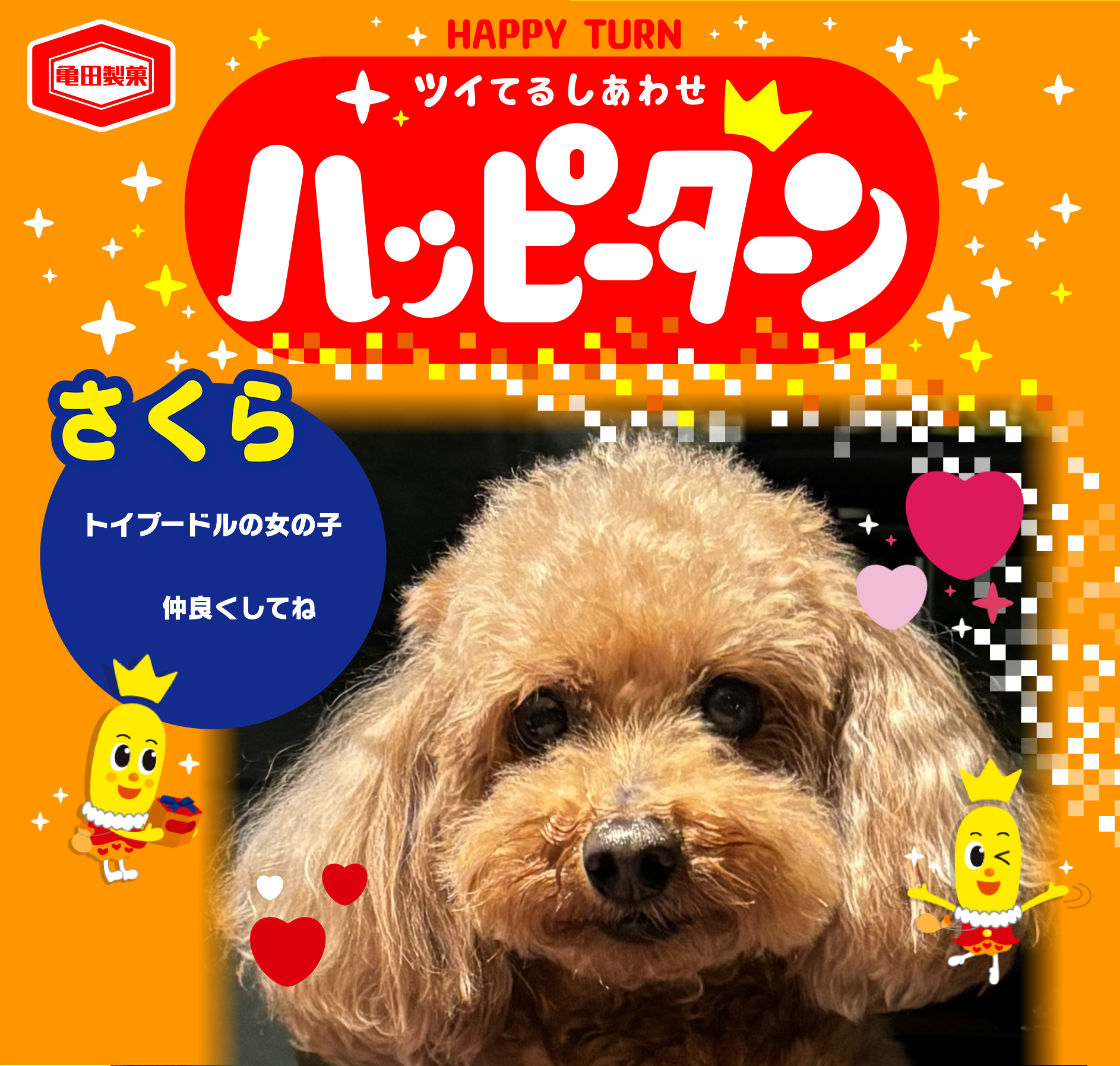 さくら