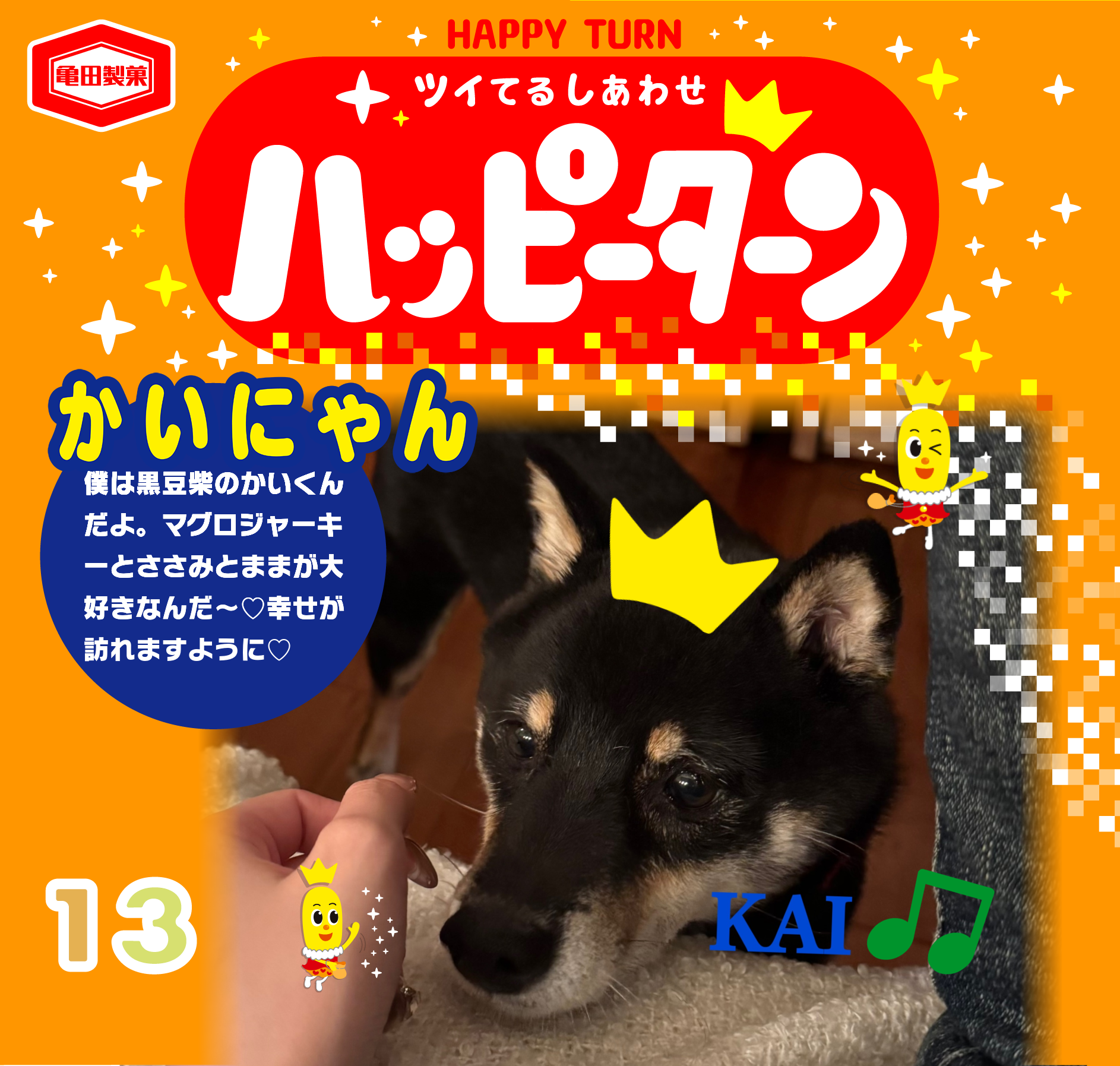 かいにゃん
