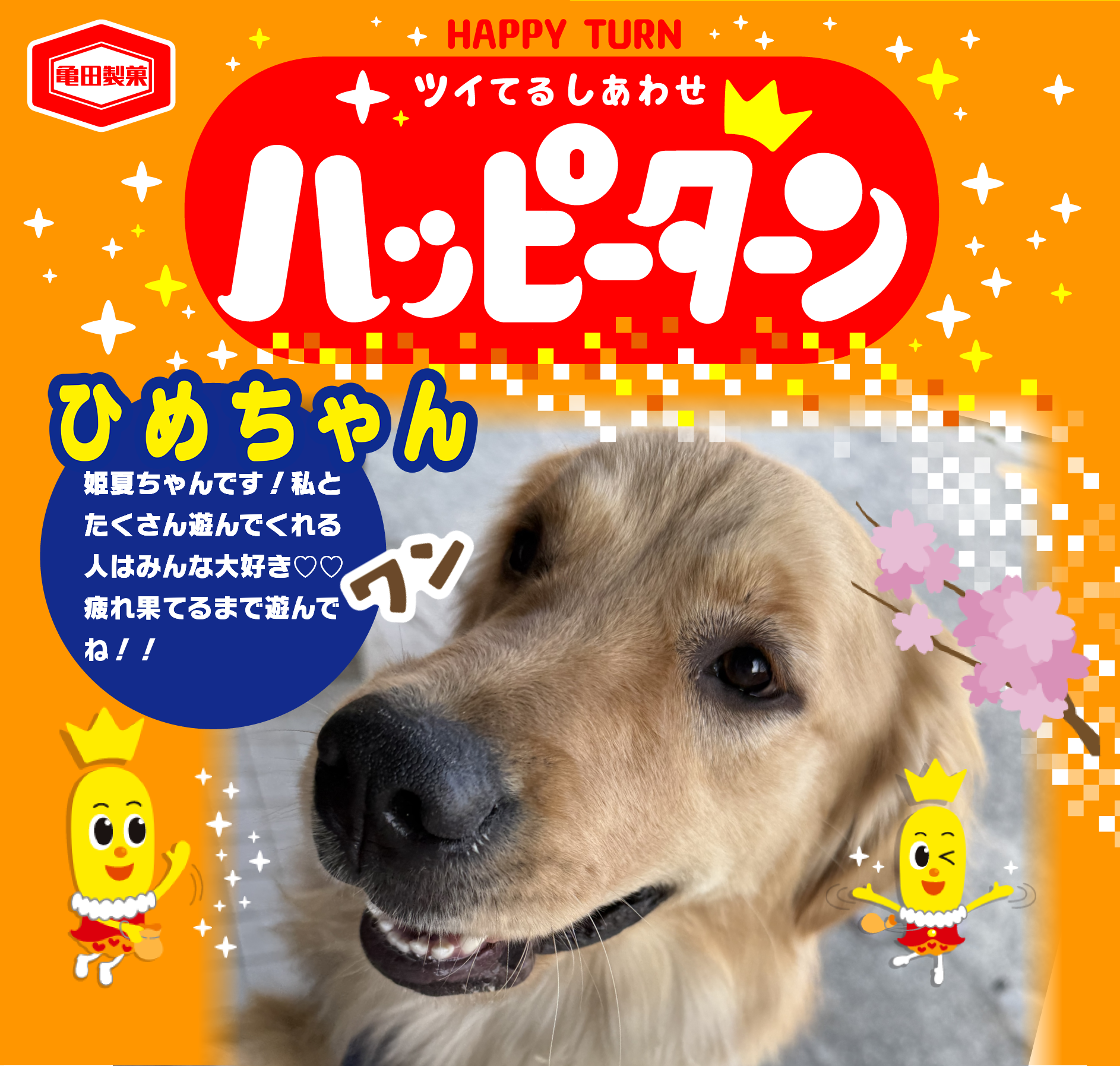 ひめちゃん