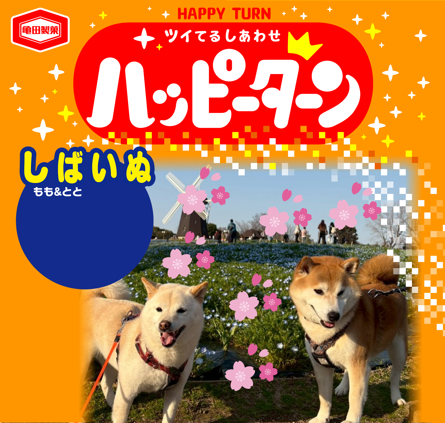 しばいぬ