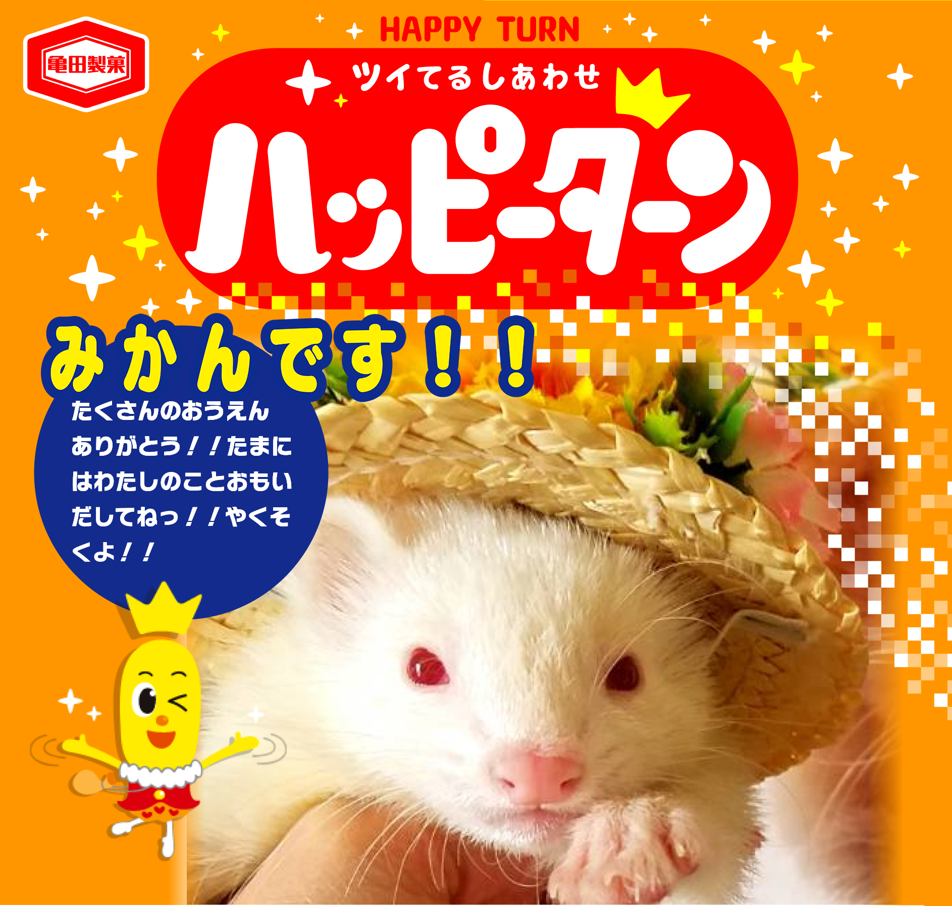 みかんです！！