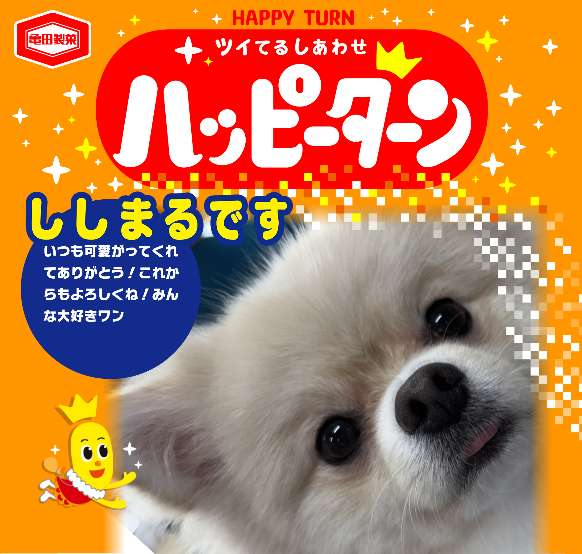 ししまるです