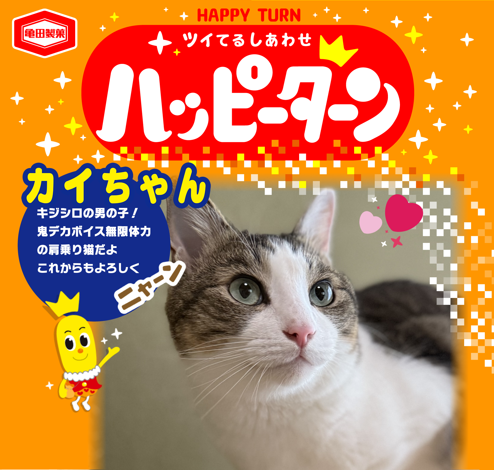 カイちゃん