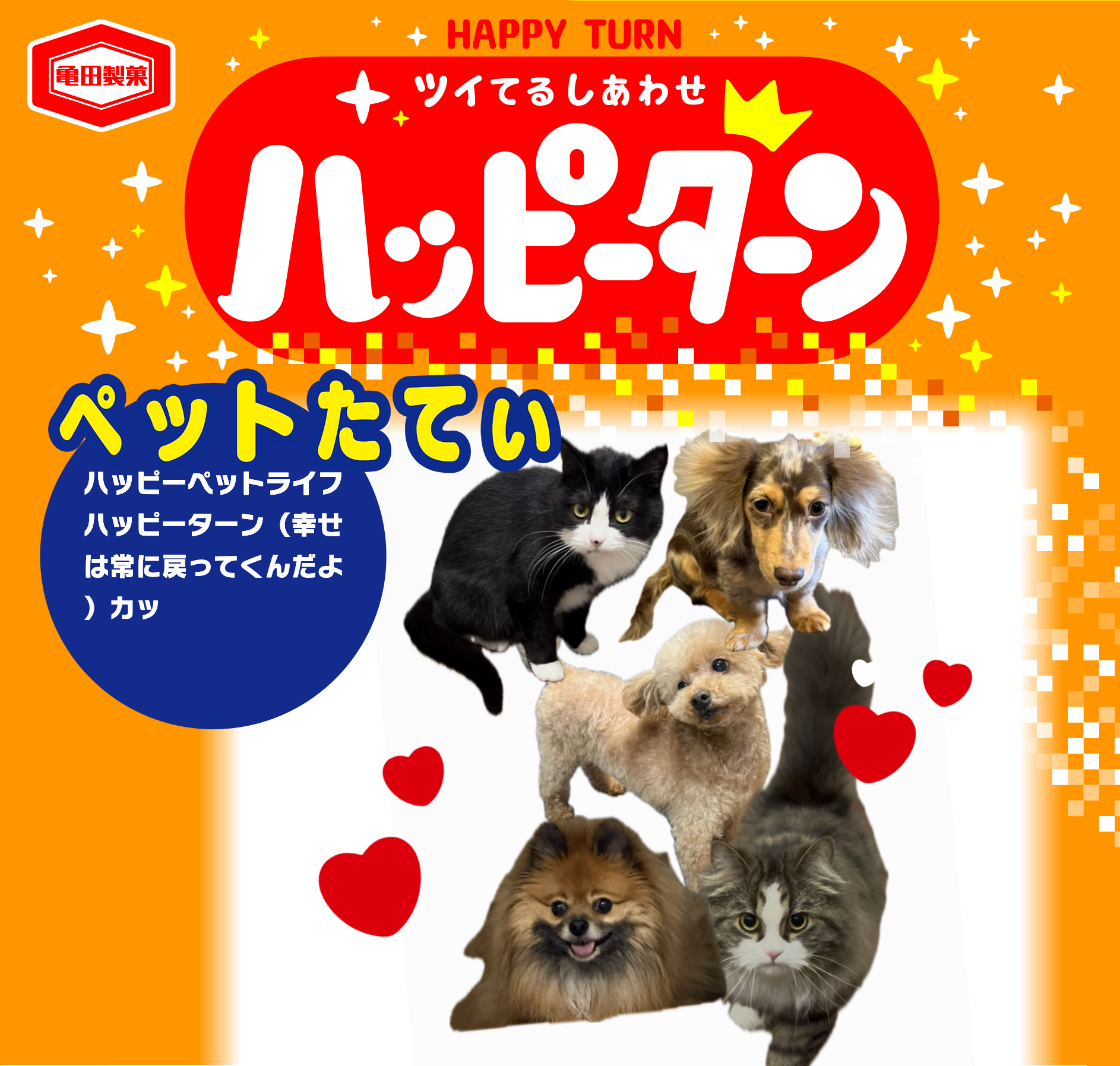 ペットたてぃ