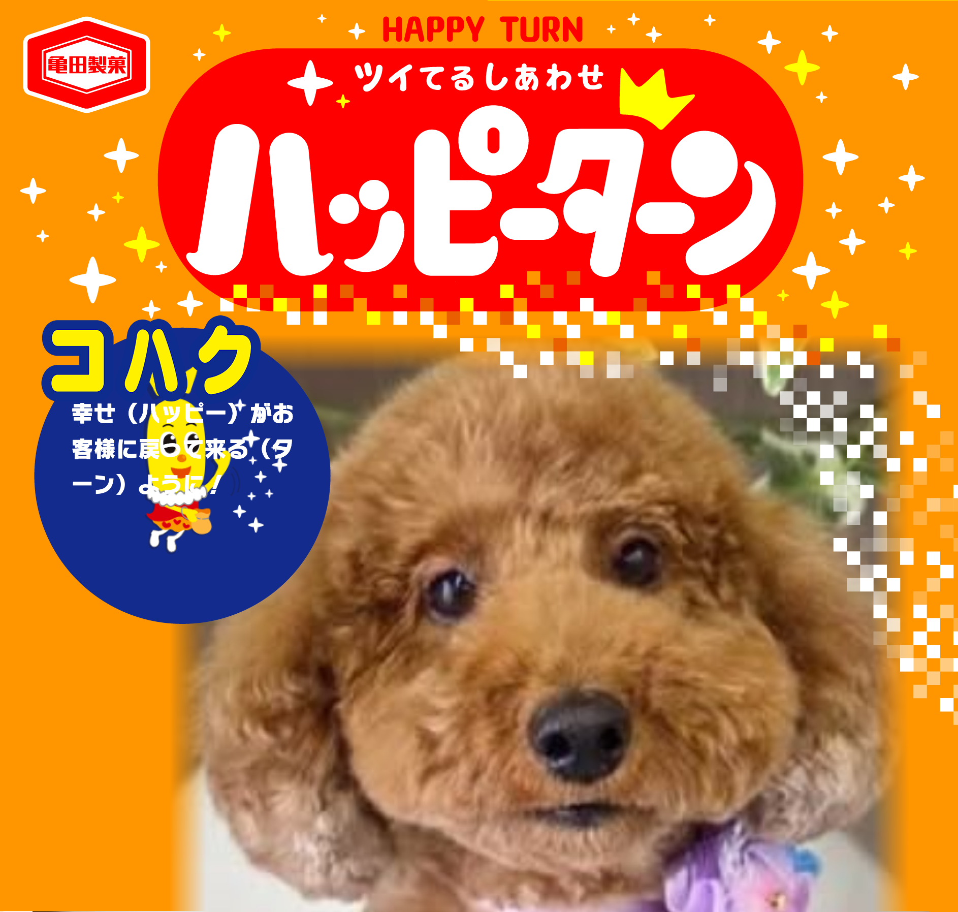 コハク