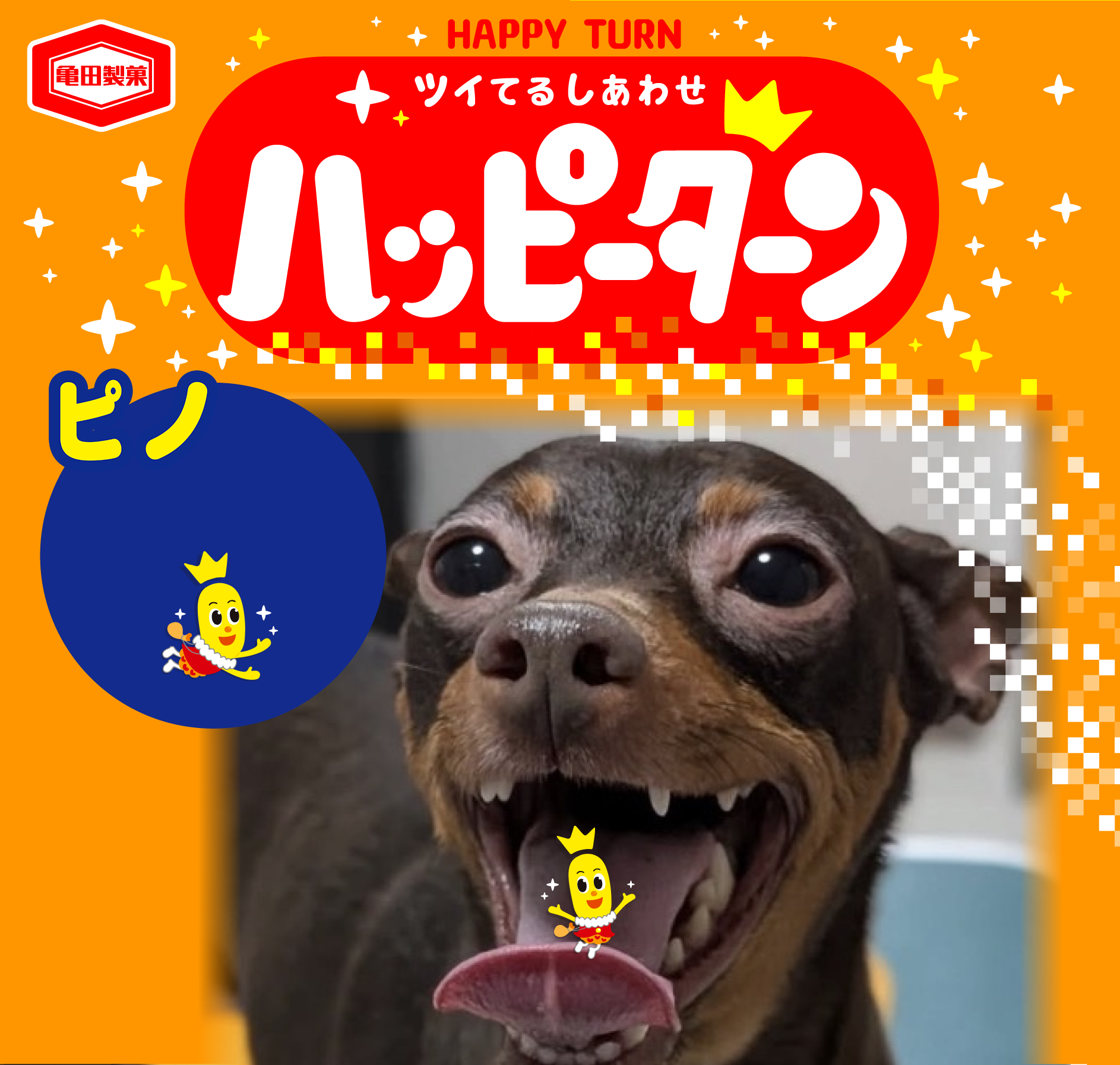 ピノ