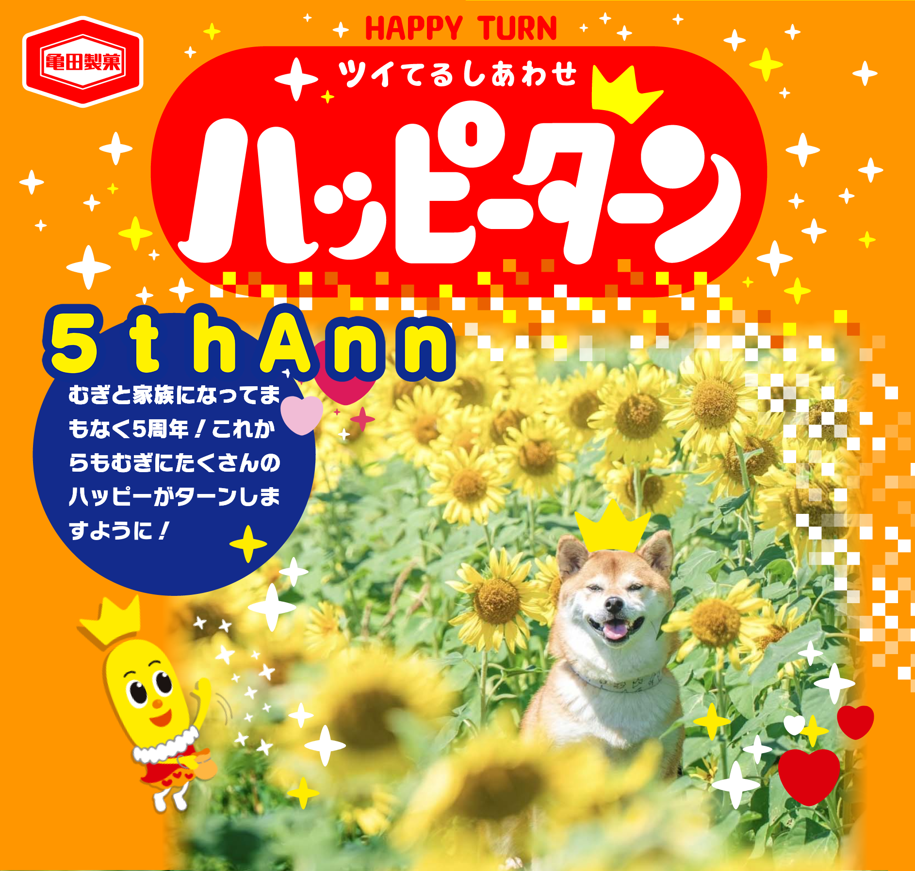 5thAnn