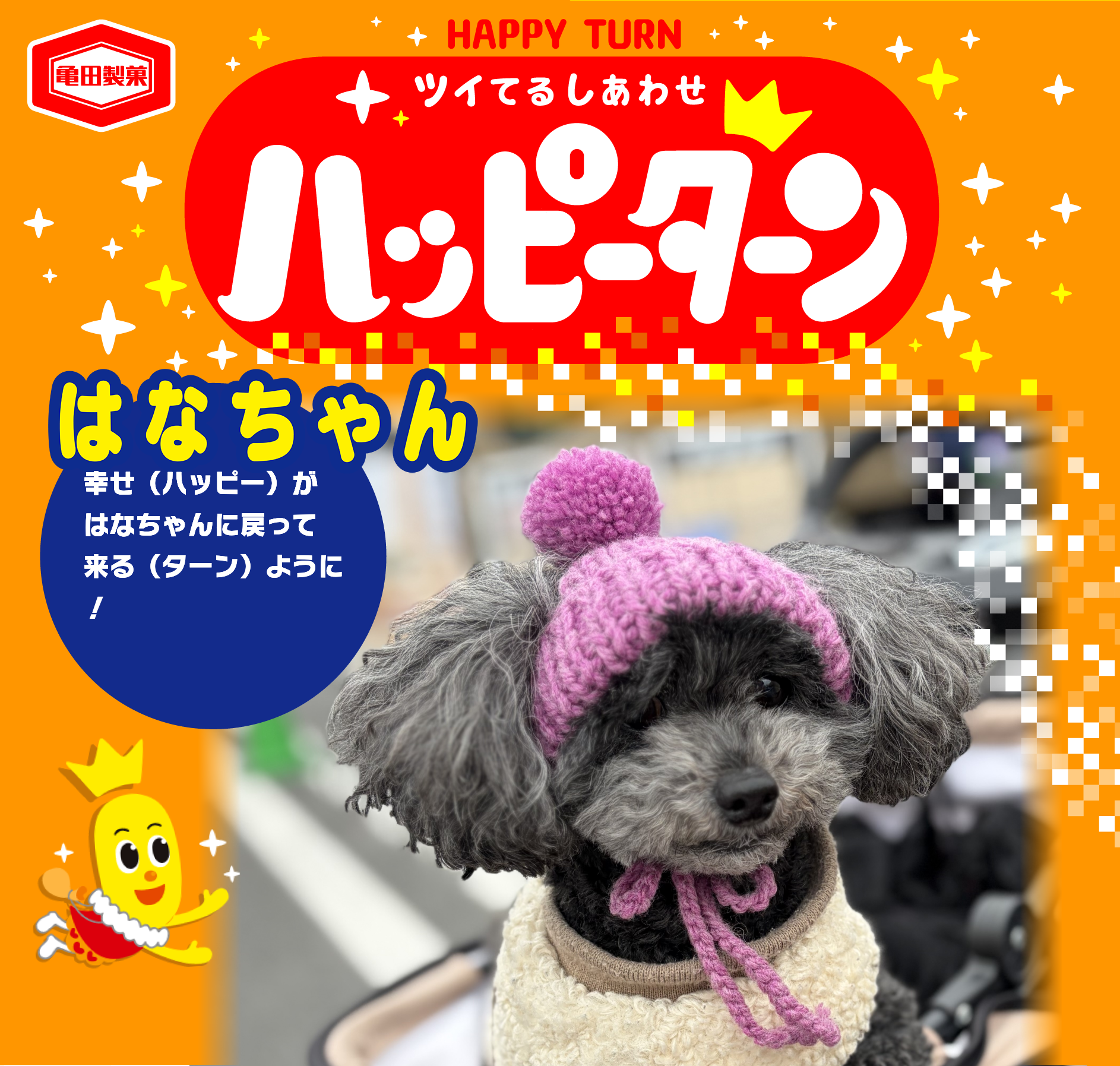 はなちゃん