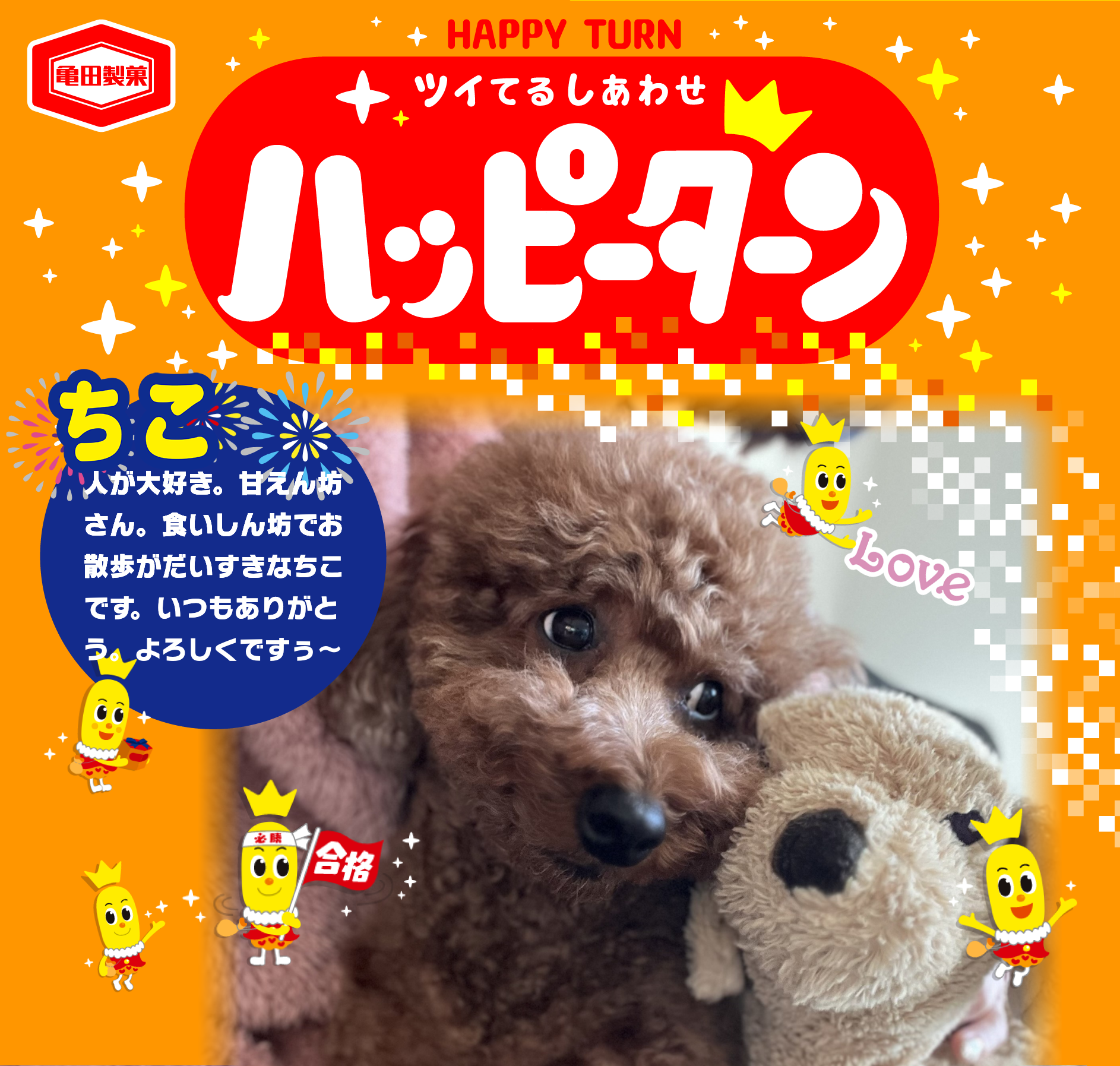ちこ
