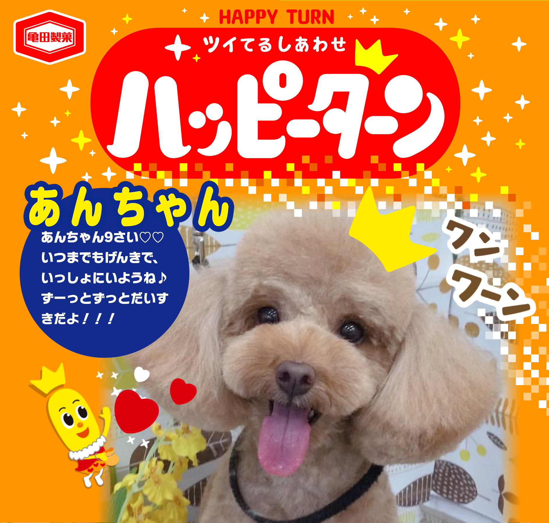 あんちゃん