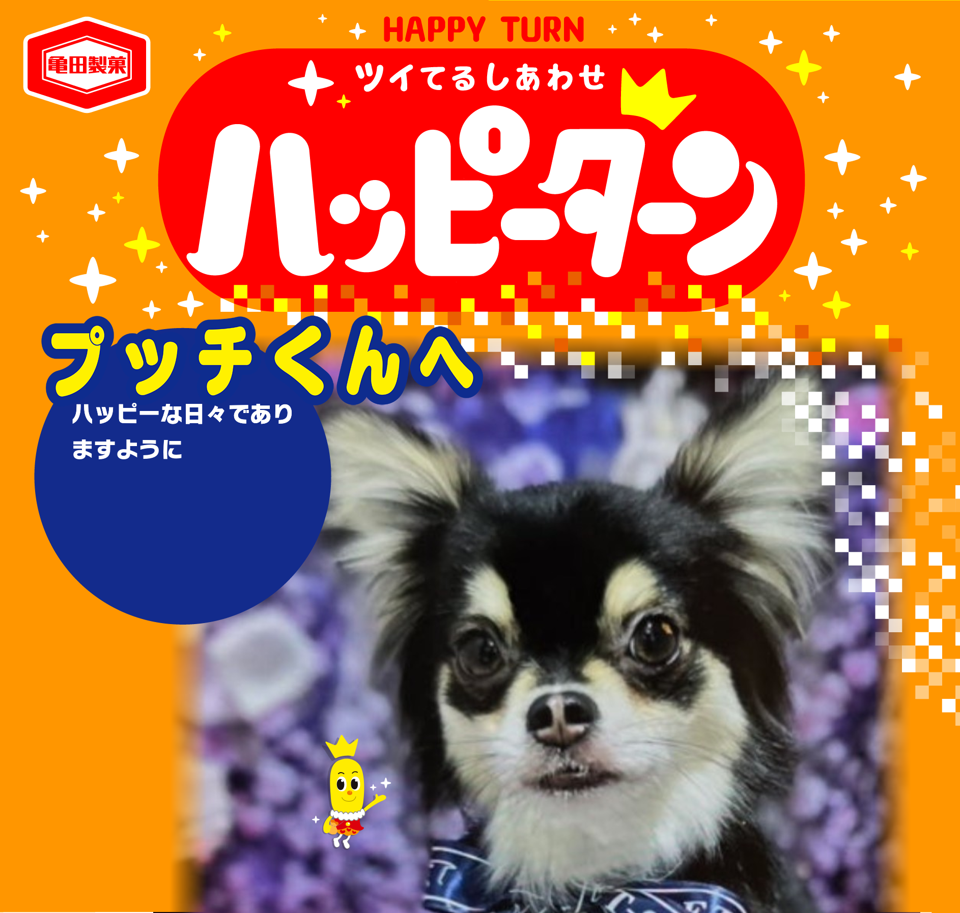 プッチくんへ