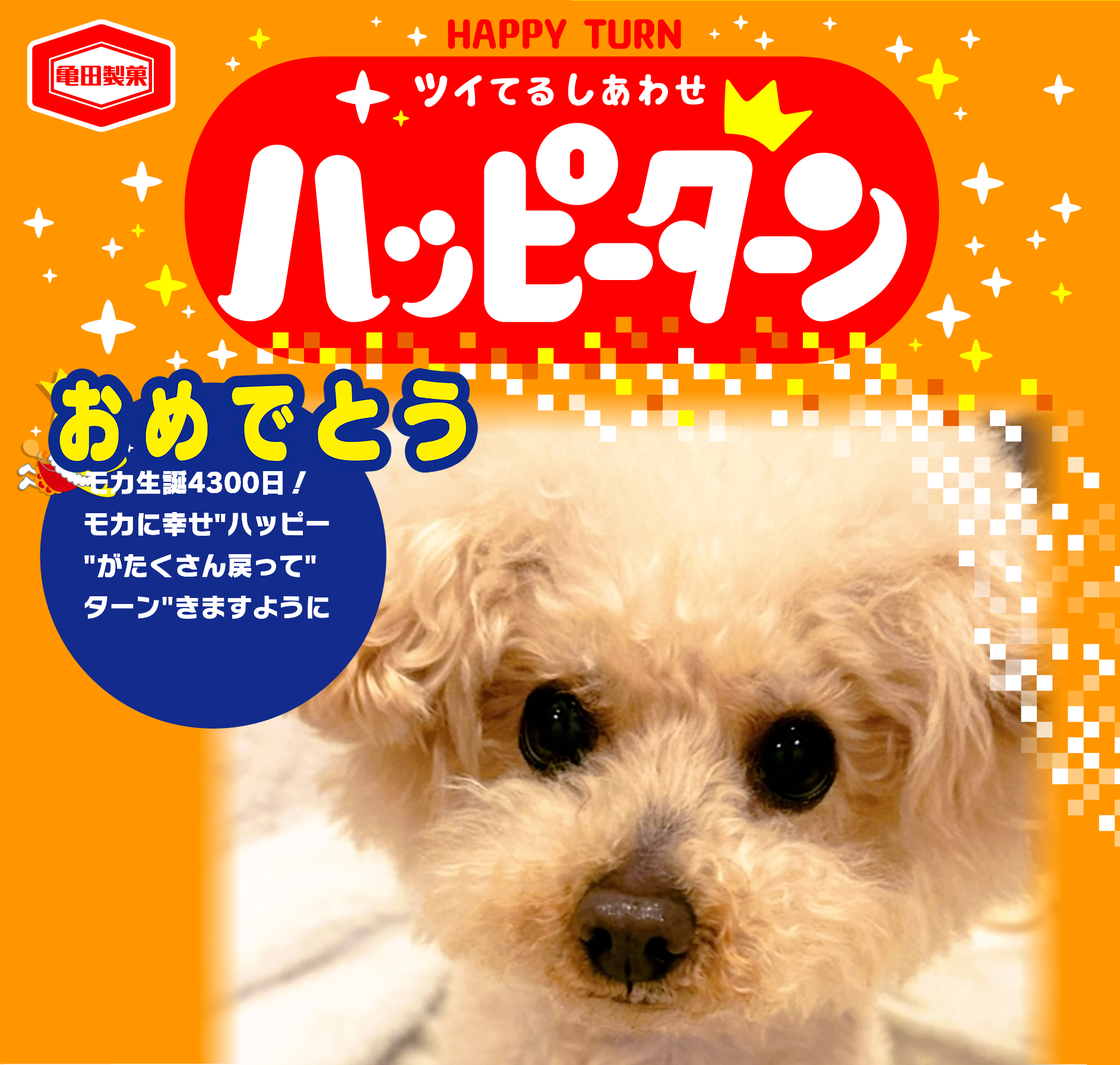 おめでとう