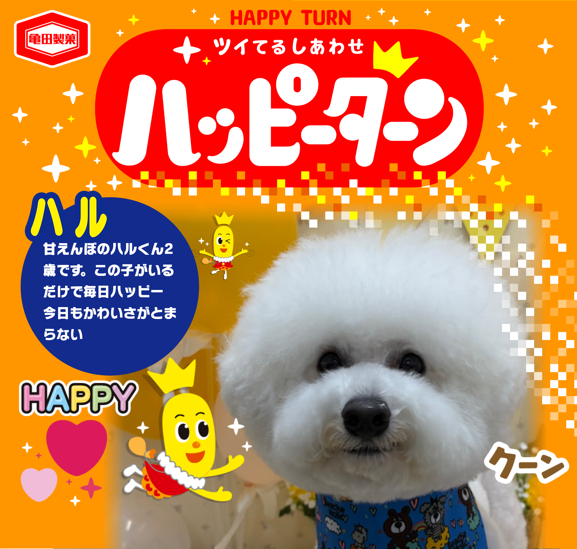 ハル
