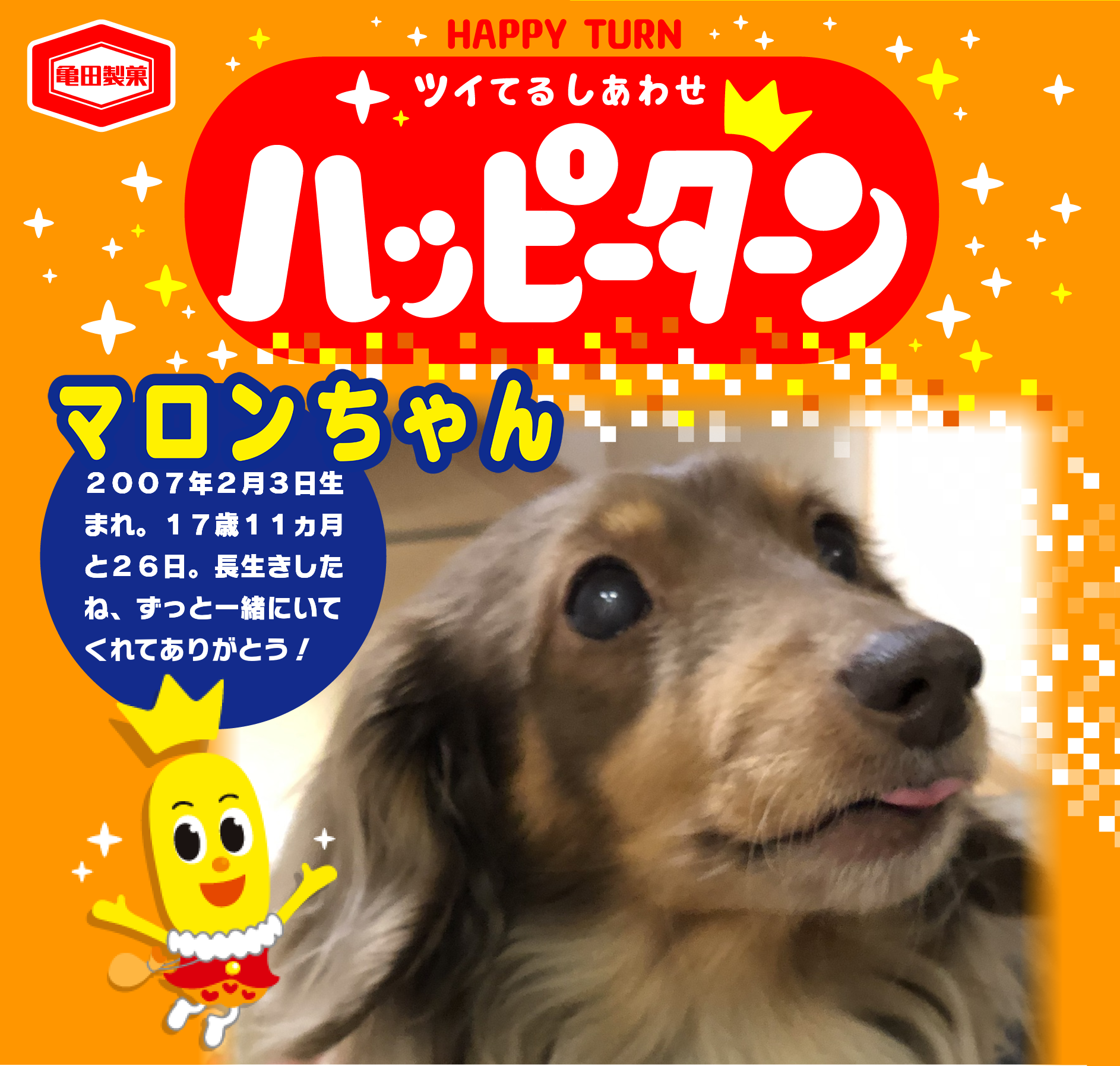 マロンちゃん