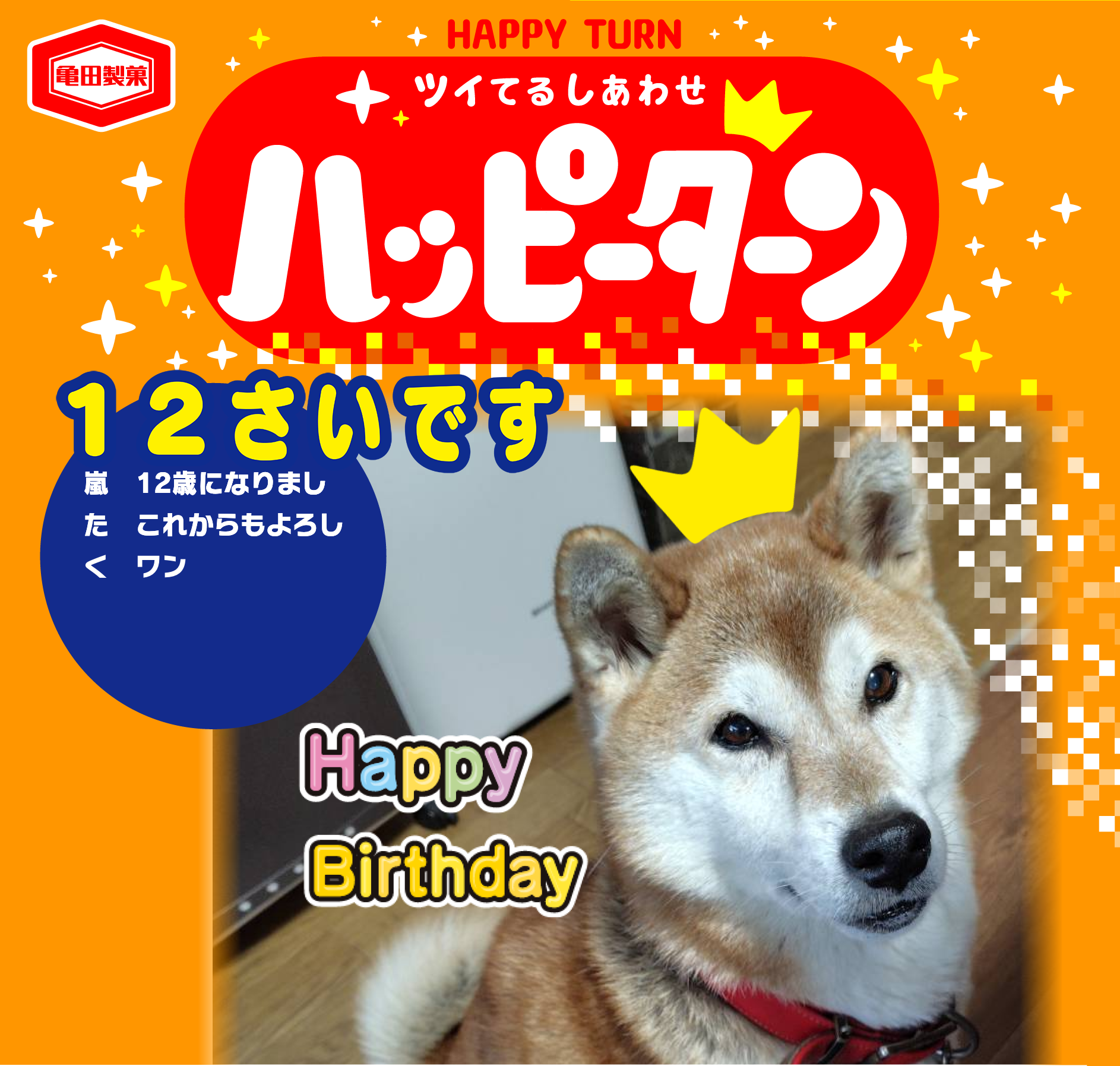 12さいです