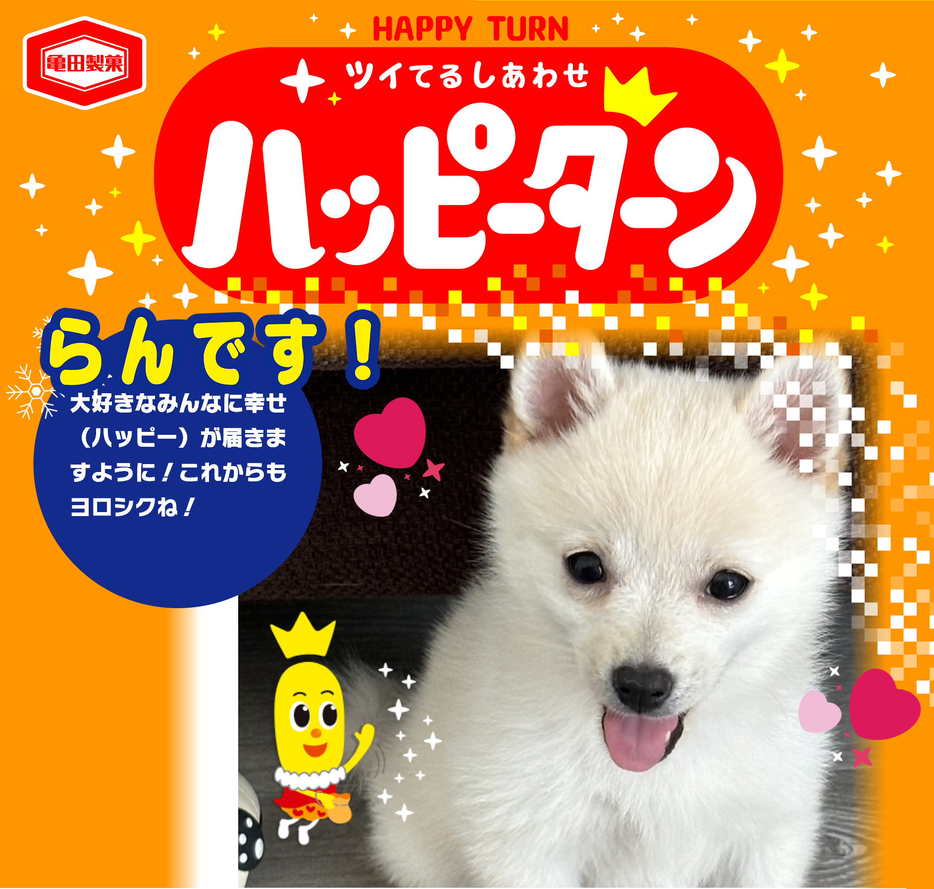 らんです！