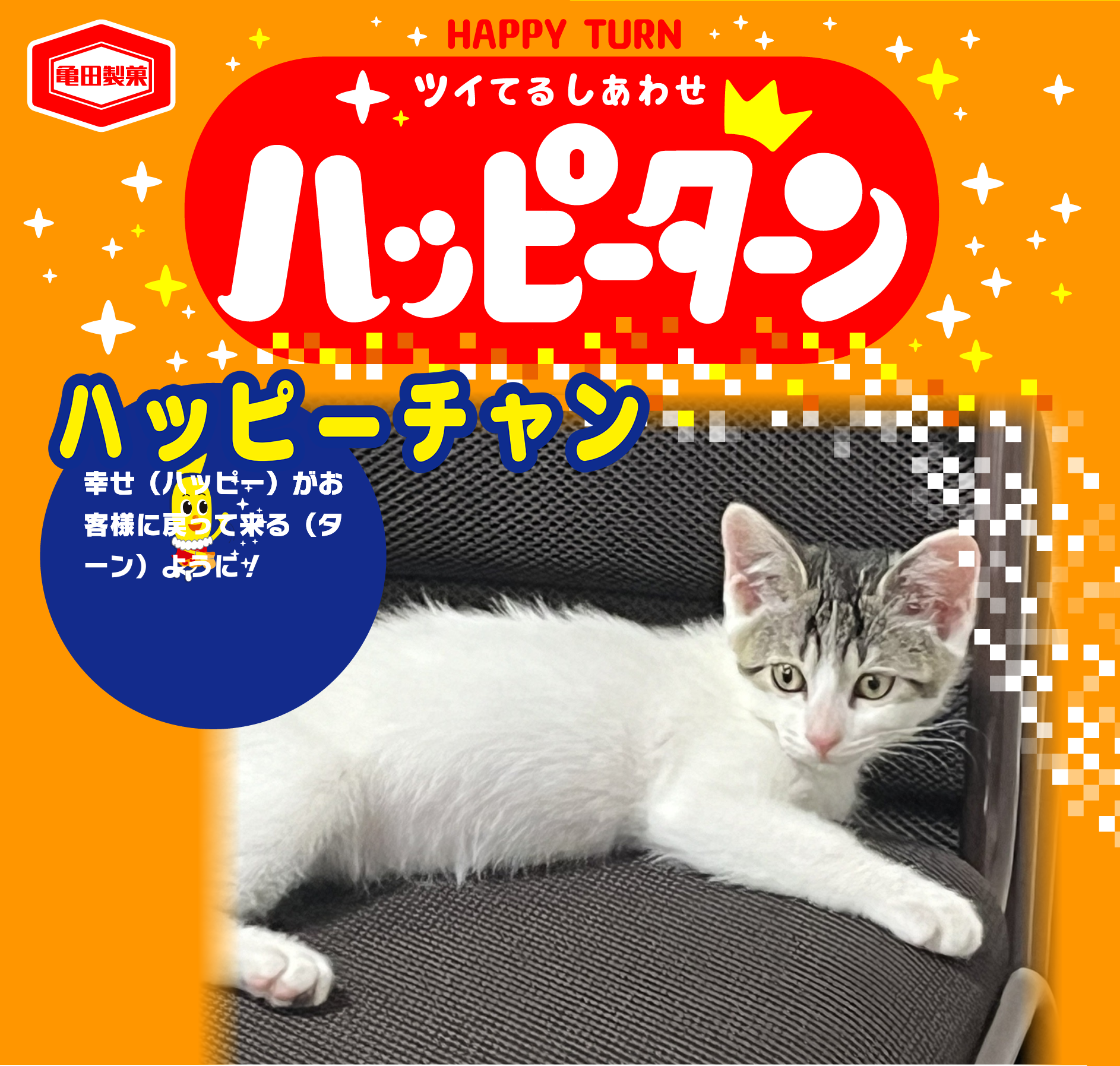 ハッピーチャン