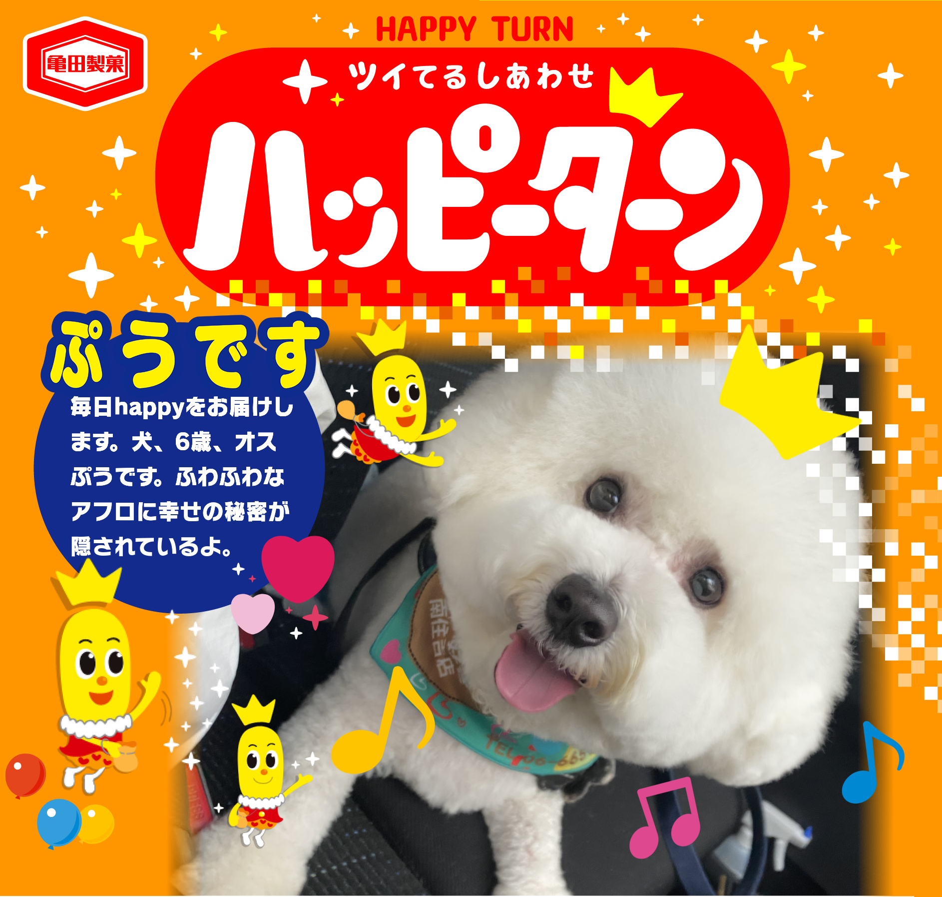 ぷうです